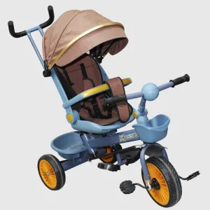 2 in 1 Tricycle for Kids