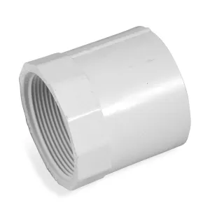 2" x 2" PVC Female Adapter (FPT x slip)